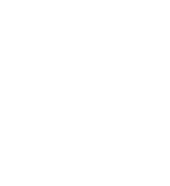 palmenzweig weiss
